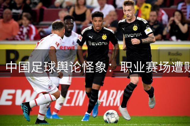 中国足球舆论怪象：职业赛场遭贬低 业余比赛反被神化