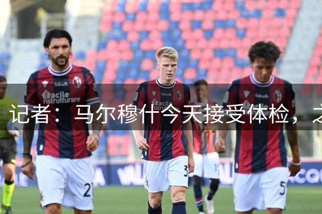 记者：马尔穆什今天接受体检，之后以6000万镑的价格转会热刺